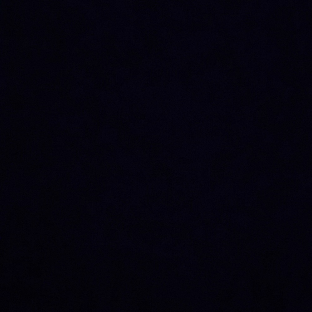 Meet your Posher, Savannah